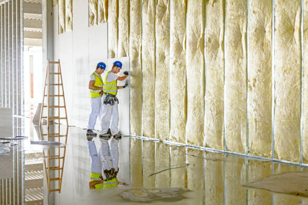 Best Residential Insulation in Murray, UT
